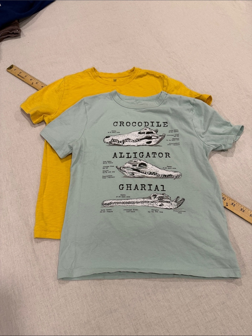 GAP kids Light Green Graphic Tee and with Yellow Tee lot of 2 size large